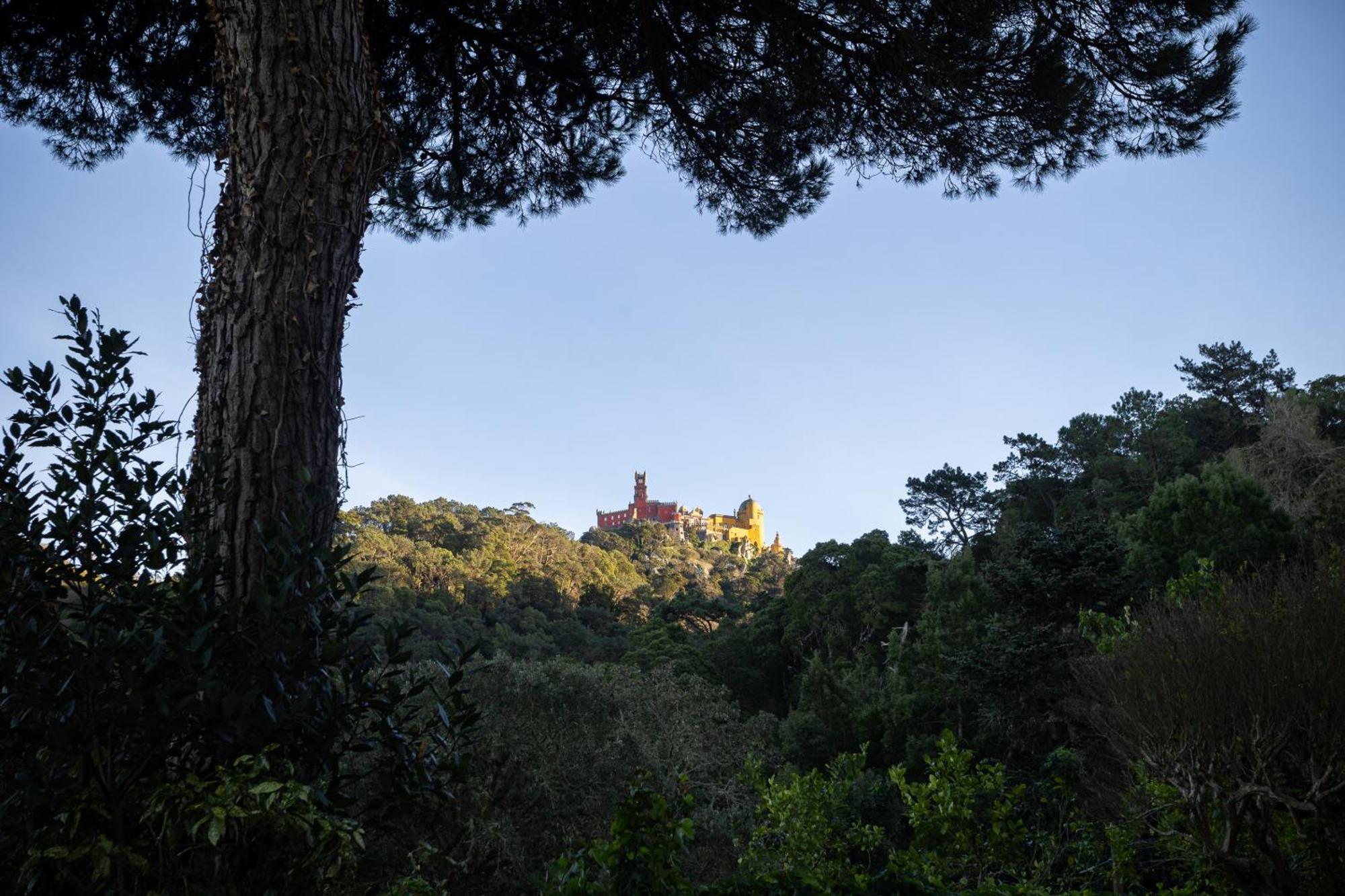 Chalet Chapeu De Sol - Sintra Exterior foto