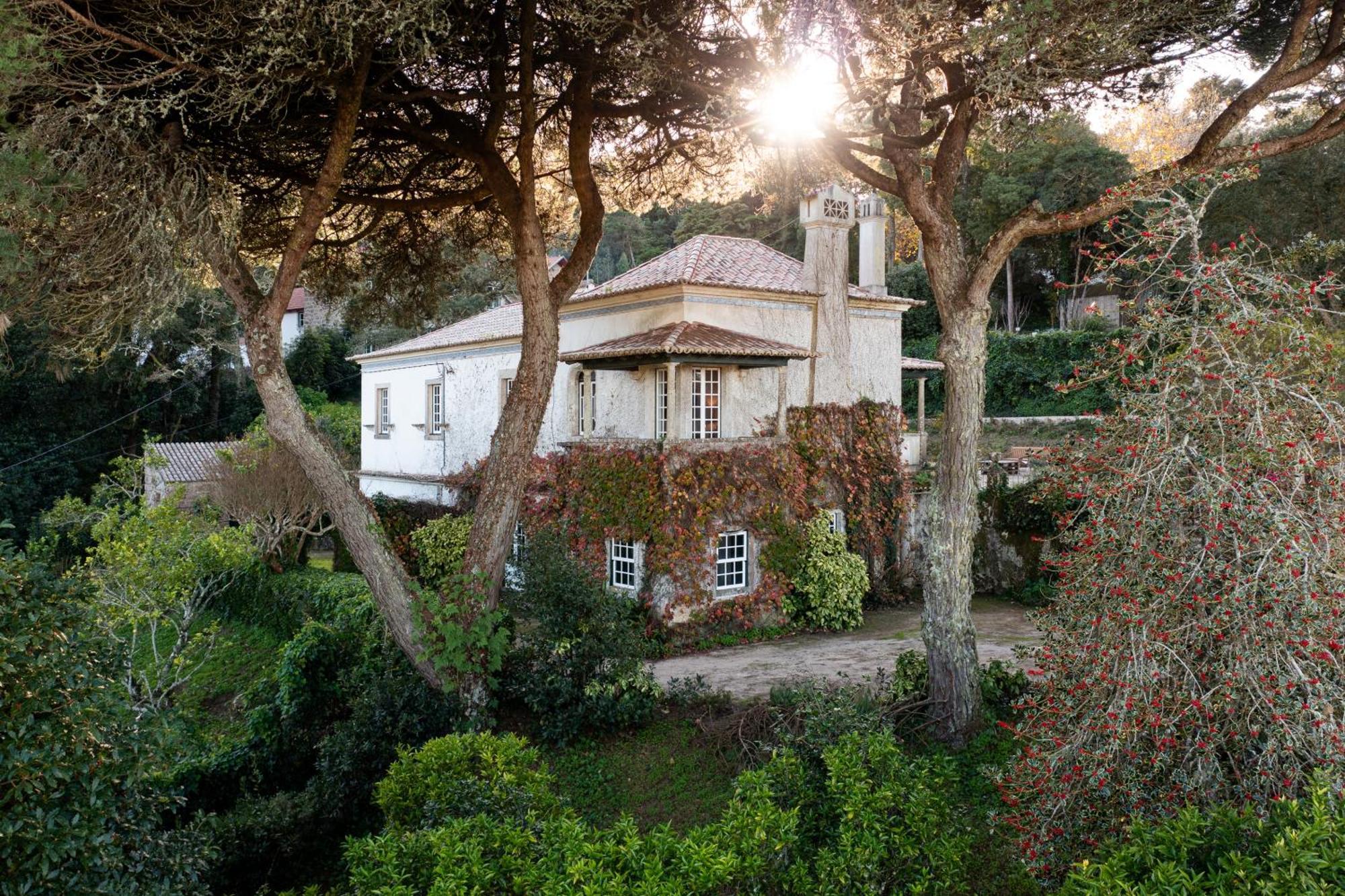 Chalet Chapeu De Sol - Sintra Exterior foto